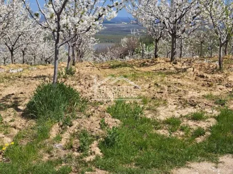 Prodaja, plac, 1800m², Ritopek, Grocka - image 6