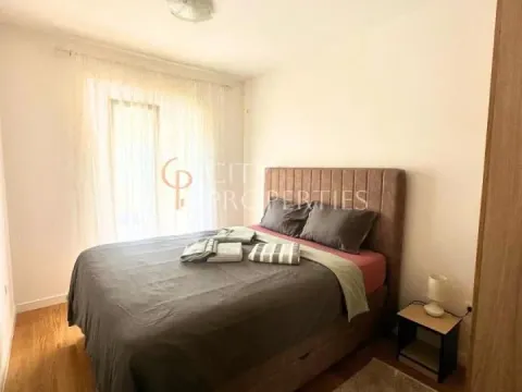 Izdavanje, stan, 54m², Central Point, Podgorica - image 6