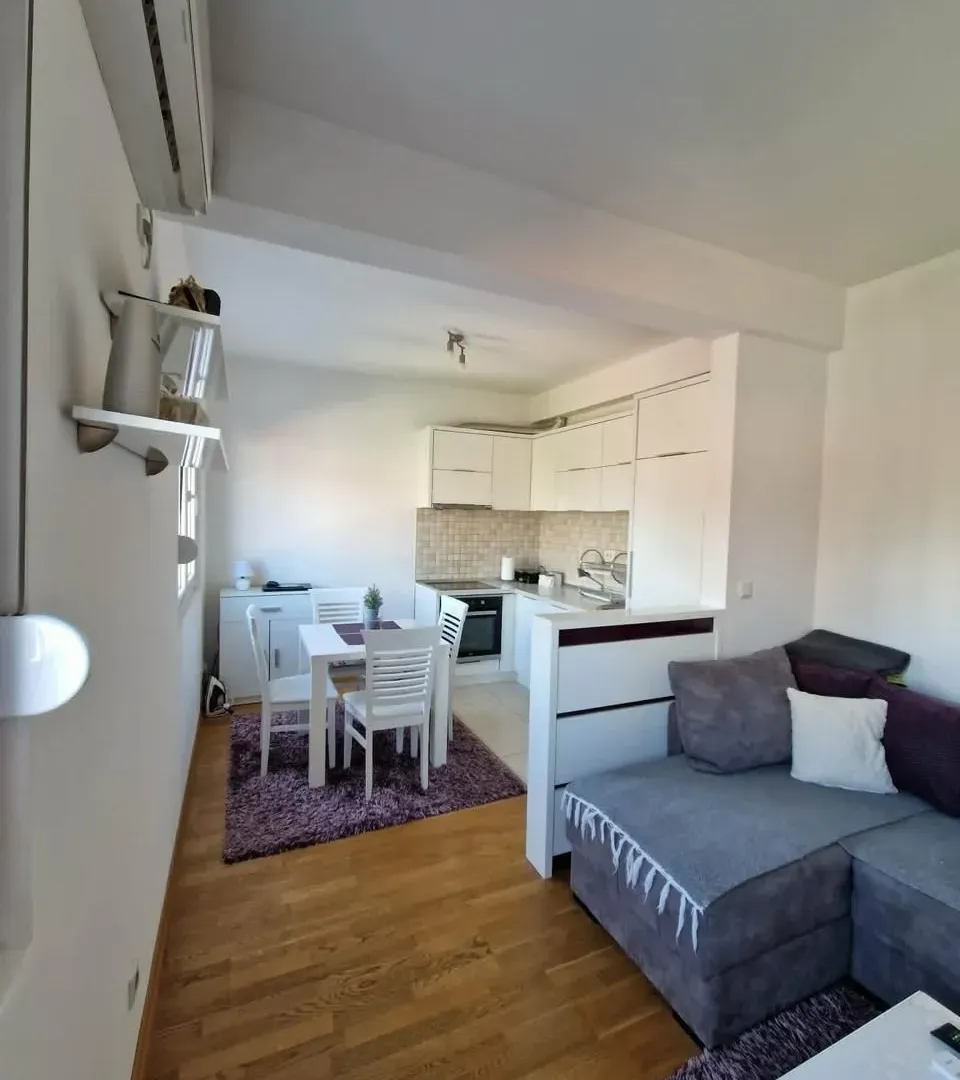 Rent, one bedroom apartment, 46m², Stari Aerodrom, Podgorica