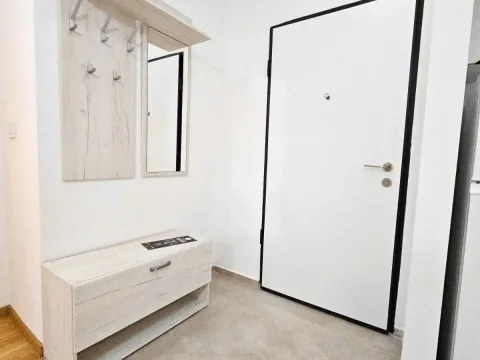 Izdavanje, jednosoban stan, 46m², Stari Aerodrom, Podgorica - image 4