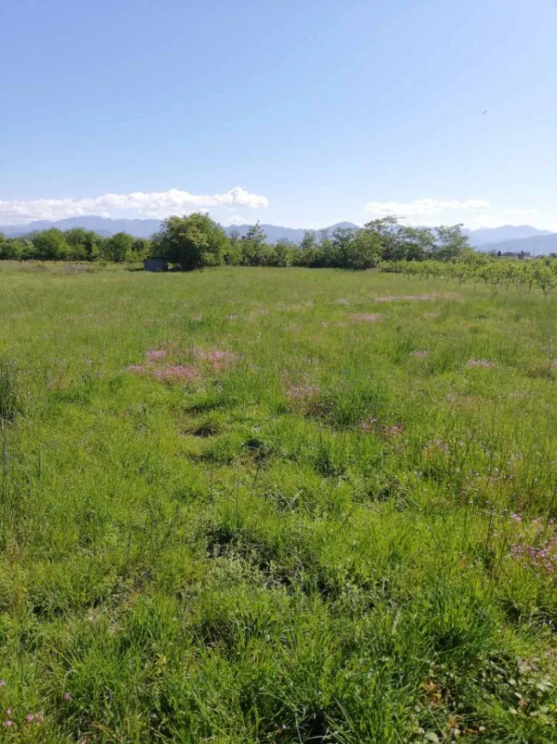Prodaja, plac, 500m², Podgorica, Crna Gora