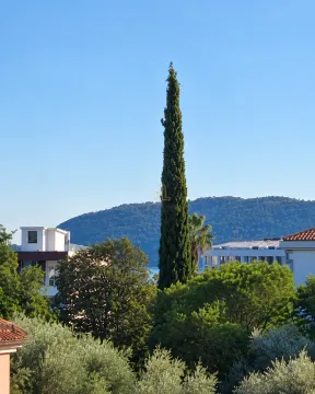 View of the surrounding area, trees, and hills from the property. - image 10
