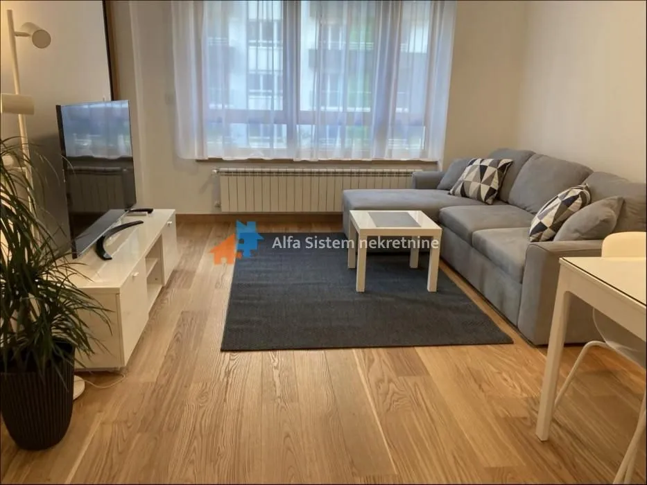 Izdavanje, dvosoban stan, 54m², Novi Beograd Blok 65, Novi Beograd Sve Podlokacije