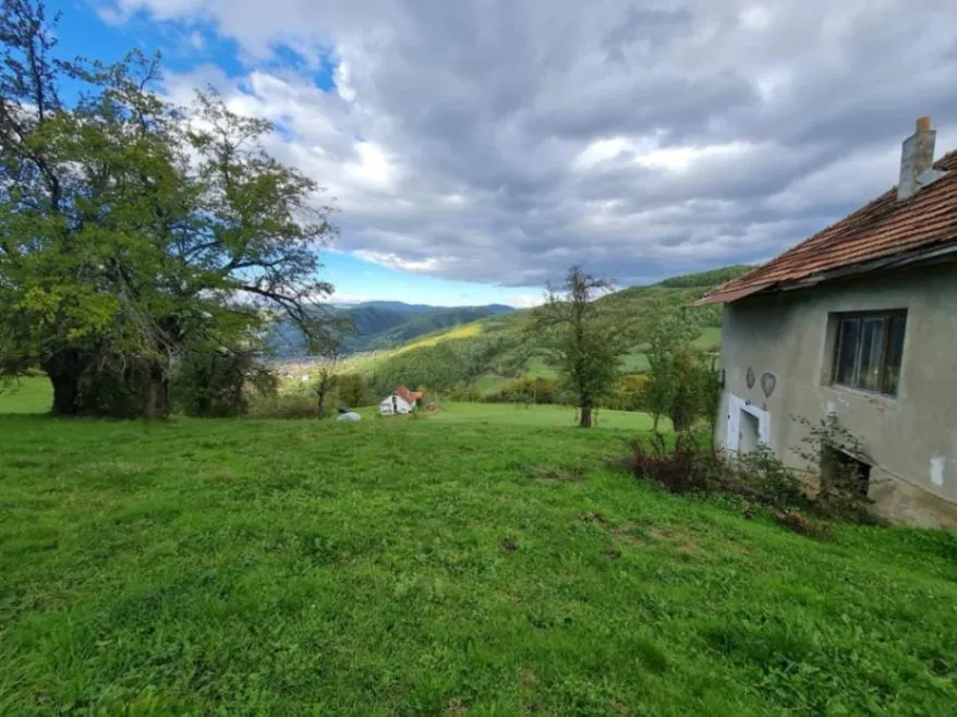 Prodaja, plac, 64450m², Rasadnik, Bijelo Polje