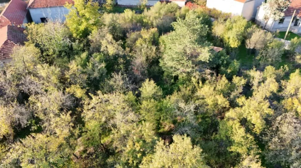 Prodaja, kuća, 200m², Leskovac, Srbija