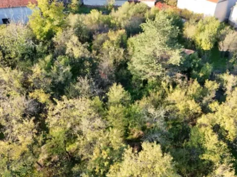 Sale, house, 200m², Leskovac, Srbija - image 6