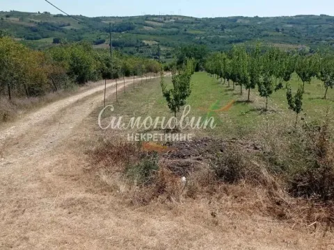 Sale, land lot, 2500m², Begaljica, Grocka - image 13