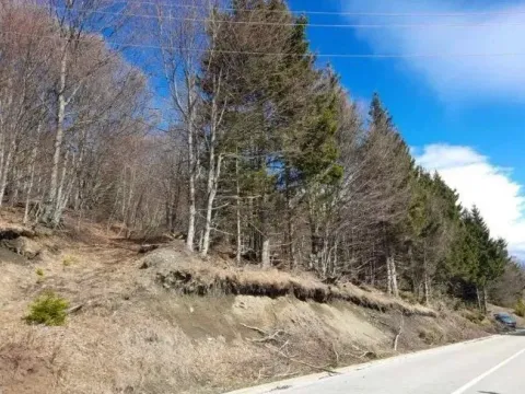 Prodaja, plac, 4200m², Raška, Srbija - image 8