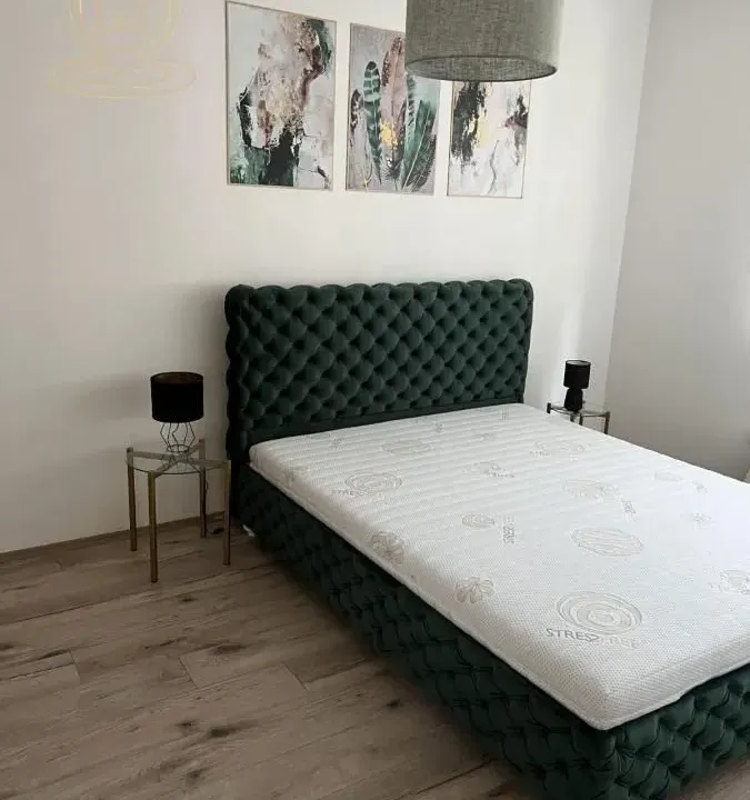 Izdavanje, dvosoban stan, 51m², Profesorska Kolonija, Palilula Sve Podlokacije