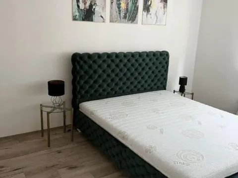 Izdavanje, dvosoban stan, 51m², Profesorska Kolonija, Palilula Sve Podlokacije