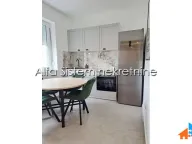 Izdavanje, dvosoban stan, 55m², Profesorska Kolonija, Palilula Sve Podlokacije - image 5