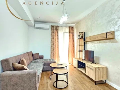 Rent, one bedroom apartment, 45m², Stari Aerodrom, Podgorica - image 3