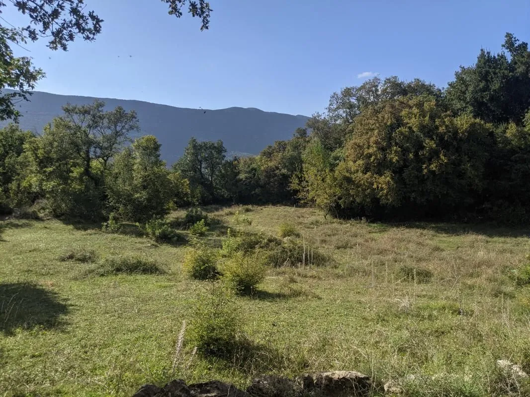 Prodaja, plac, 13700m², Herceg Novi, Crna Gora