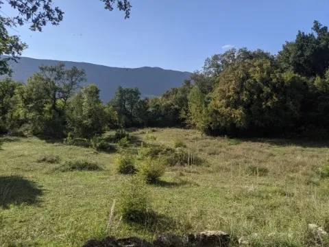 Prodaja, plac, 13700m², Herceg Novi, Crna Gora - image 5