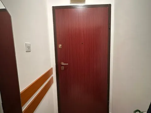 Prodaja, jednosoban stan, 49m², Pobrežje, Podgorica - image 9