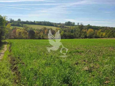 Prodaja, kuća, 100m², Velika Ivanča, Mladenovac - image 4