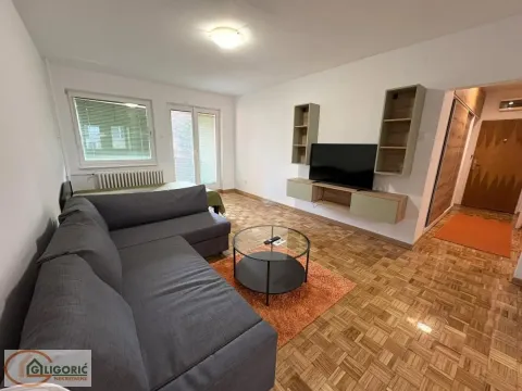 Rent, one bedroom apartment, 45m², Lion, Zvezdara Sve Podlokacije - image 7