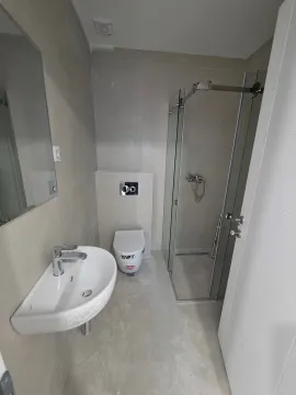Modern bathroom equipped with a washbasin, toilet, and a glass-enclosed shower. - image 15