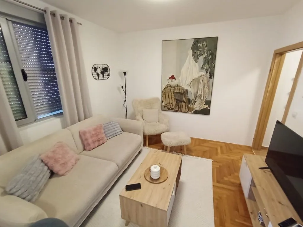 Rent, one bedroom apartment, 47m², Vezirov Most, Podgorica