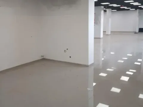 Rent, office space, 350m², Jugovićevo, Novi Sad Sve Podlokacije - image 3