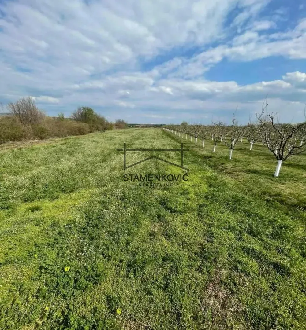 Prodaja, plac, 4636m², Sremska Mitrovica, Srbija