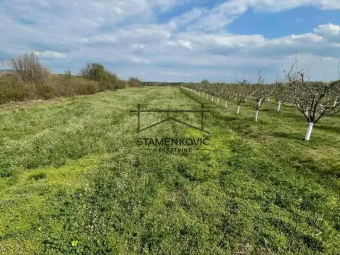 Prodaja, plac, 4636m², Sremska Mitrovica, Srbija - image 8