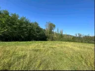 Prodaja, plac, 5181m², Ćurilac, Danilovgrad - image 6