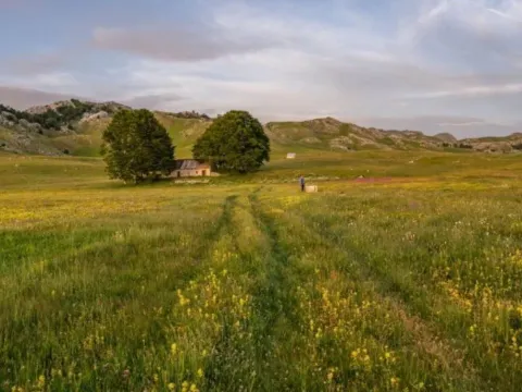 Prodaja, plac, 87343m², Nikšić, Crna Gora - image 3