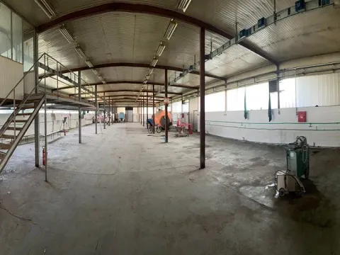 Rent, office space, 1900m², Borča 1, Borča Sve Podlokacije - image 2