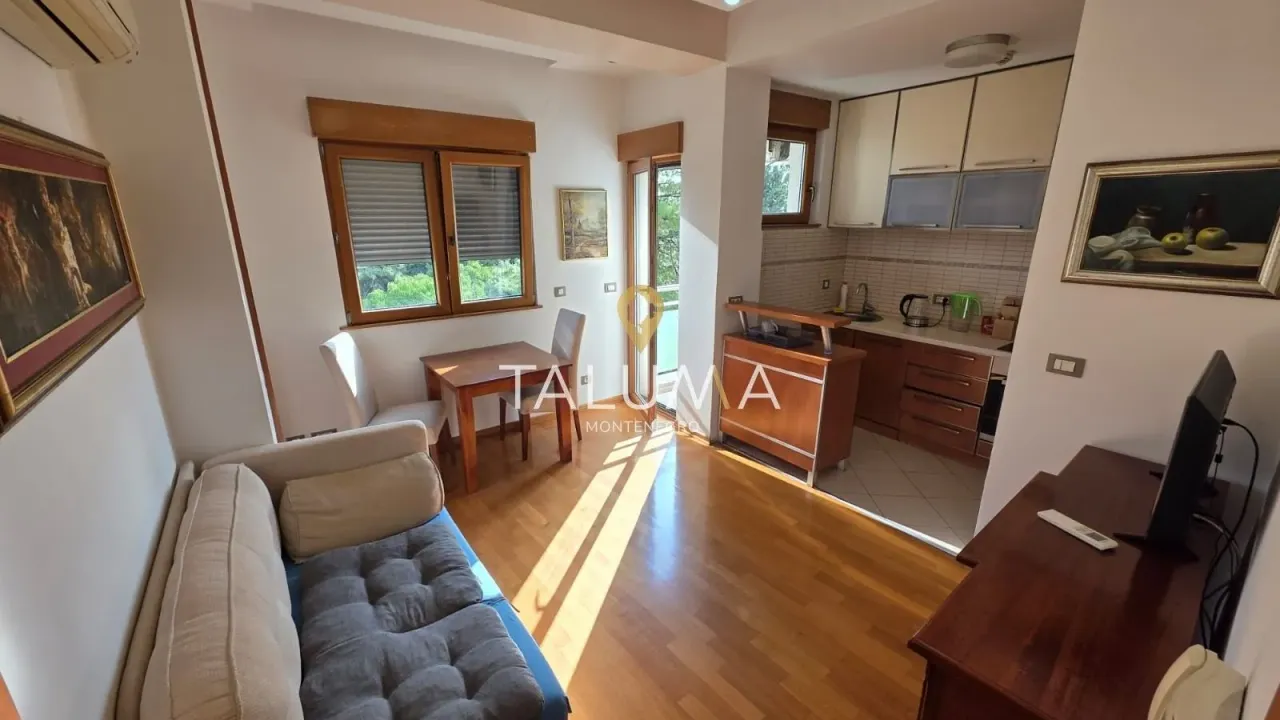 Izdavanje, jednosoban stan, 40m², Preko Morače, Podgorica