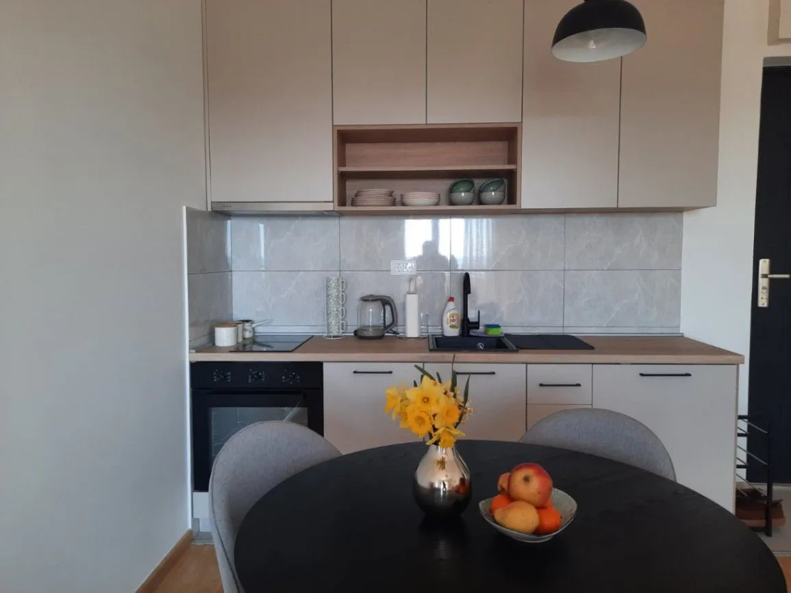 Daily-rent, one bedroom apartment, 40m², Ilino, Bar