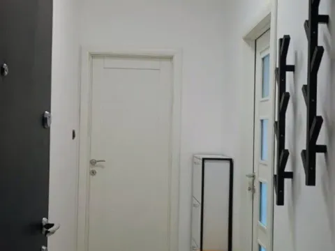 Izdavanje, jednosoban stan, 50m², Centar, Cetinje - image 3