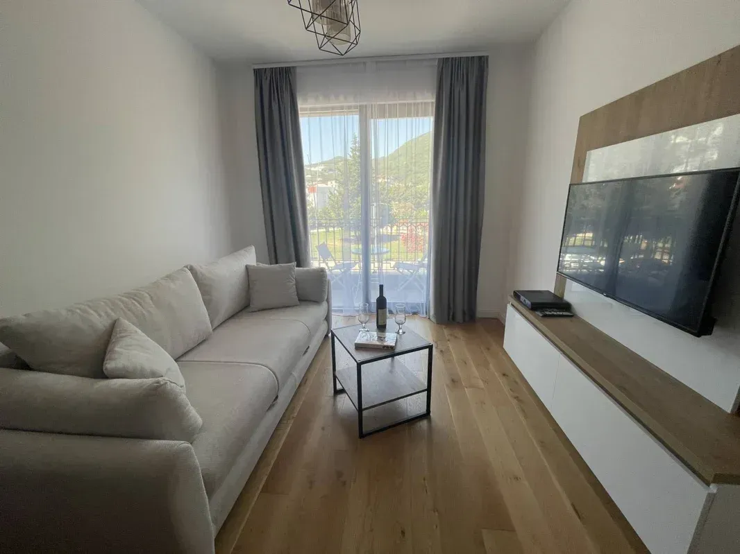 Bright living room with a sofa and television.