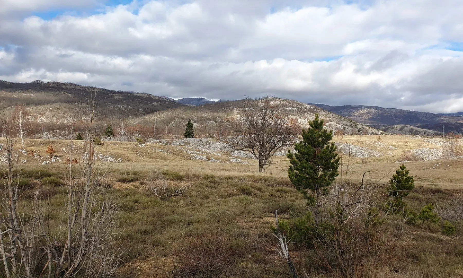 Prodaja, plac, 12774m², Plužine, Crna Gora