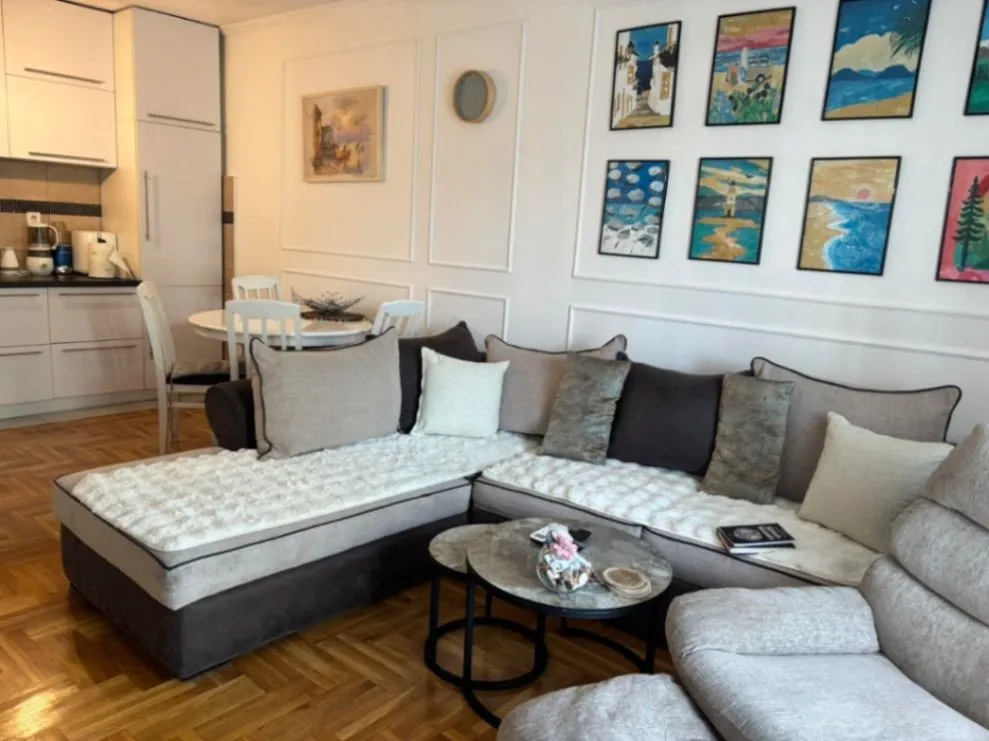 Rent, one bedroom apartment, 47m², Krivi Most, Podgorica