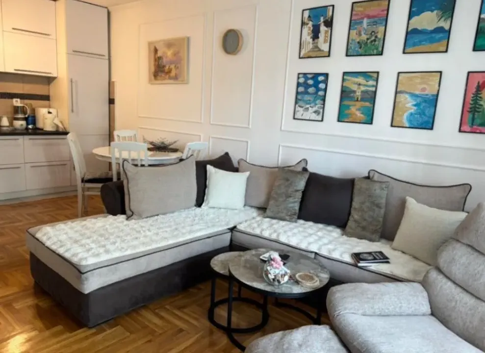 Rent, one bedroom apartment, 47m², Krivi Most, Podgorica