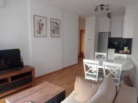Rent, one bedroom apartment, 45m², Bečići, Budva - image 6