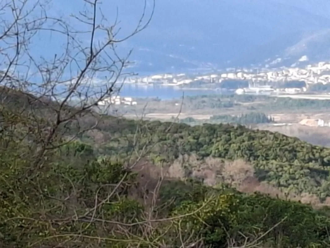 Prodaja, plac, 601m², Zabrđe, Cetinje