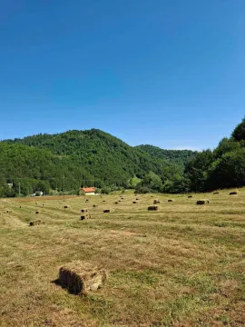Prodaja, plac, 7000m², Veruša, Podgorica - image 8