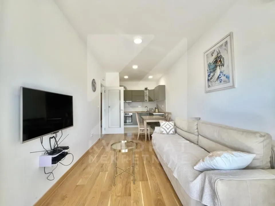 Rent, one bedroom apartment, 45m², Tološka šuma, Podgorica