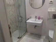 Izdavanje, jednosoban stan, 41m², Central Point, Podgorica - image 2