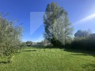 Prodaja, kuća, 350m², Kosić, Danilovgrad - image 15