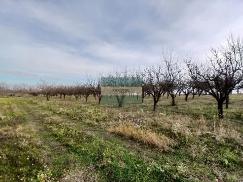 Sale, office space, 723m², Veliki Popović, Despotovac - image 12