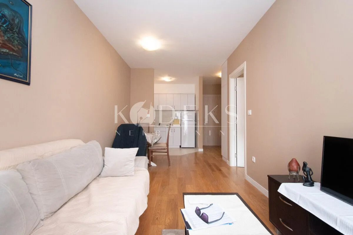 Izdavanje, jednosoban stan, 40m², Central Point, Podgorica