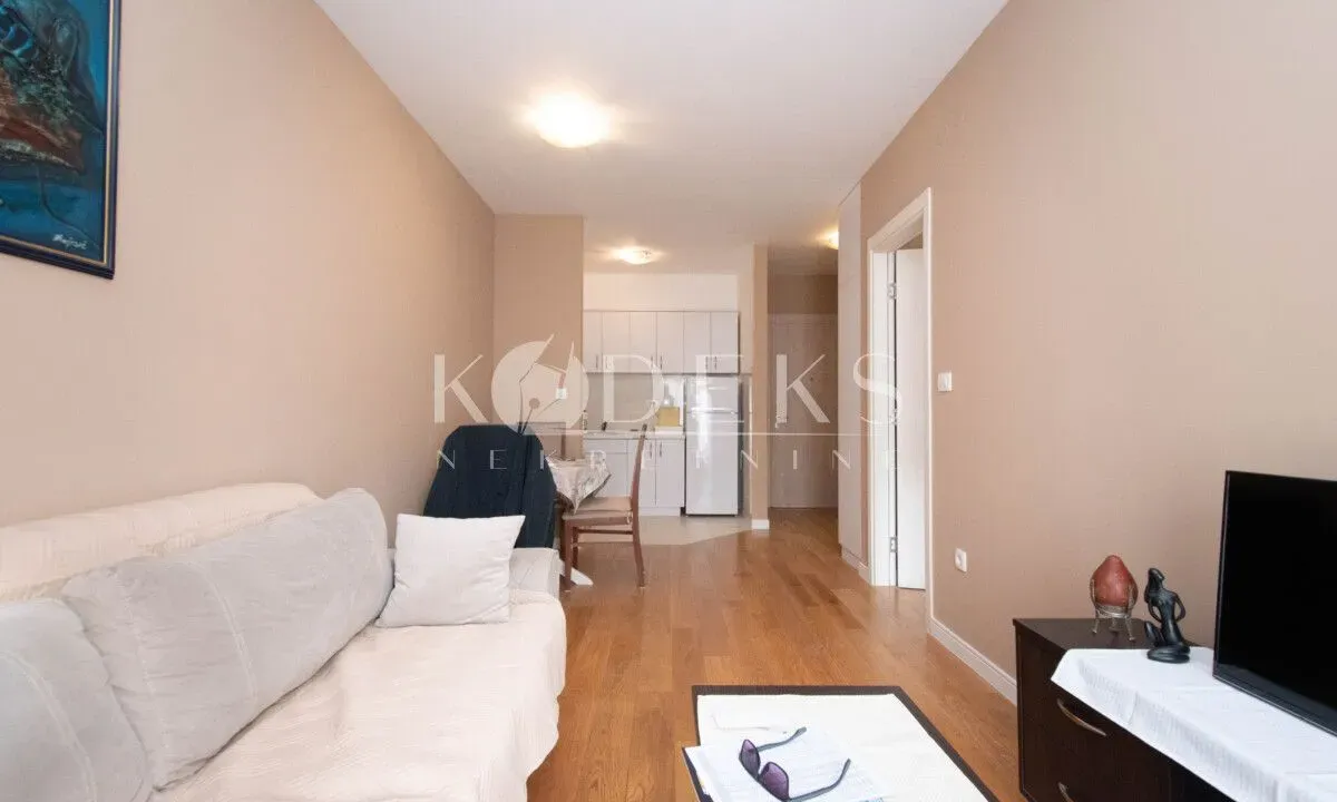 Izdavanje, jednosoban stan, 40m², Central Point, Podgorica