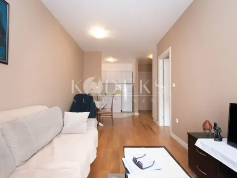 Izdavanje, jednosoban stan, 40m², Central Point, Podgorica - image 1