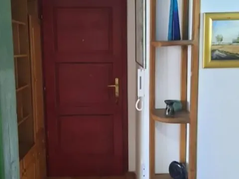 Rent, one bedroom apartment, 29m², Bulevar Oslobodjenja, Novi Sad Sve Podlokacije - image 12