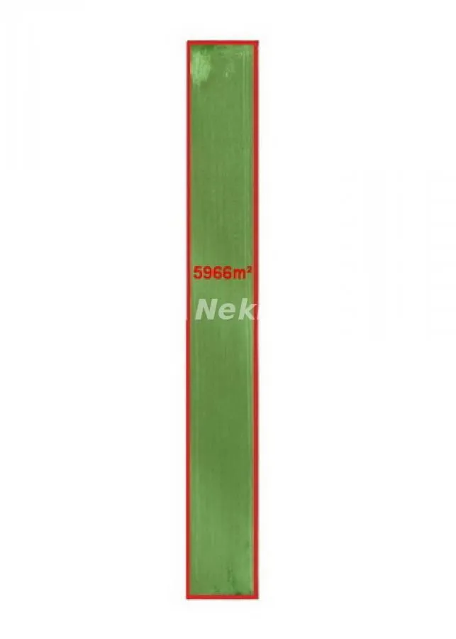 Prodaja, plac, 5966m², Futog, Novi Sad Sve Podlokacije