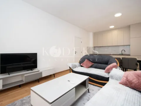 Izdavanje, jednosoban stan, 47m², Zabjelo, Podgorica - image 37