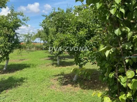 Sale, house, 37m², Čenej, Novi Sad Sve Podlokacije - image 16